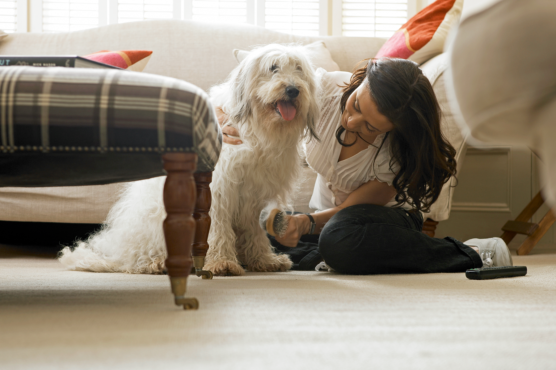 homeowner with dog in living room